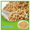 soybean isoflavones extract