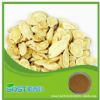 astragalus mongholicus extract