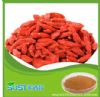 chinese wolfberry extract